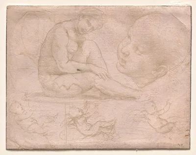 Studies of a Seated Female, Child's Head, and Three Studies of a Baby — Raphael
