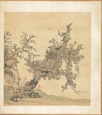 Paintings after Ancient Masters: An Ancient Tree — Chen Hongshou
