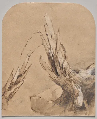 A Blasted Tree (recto) — Jasper Francis Cropsey