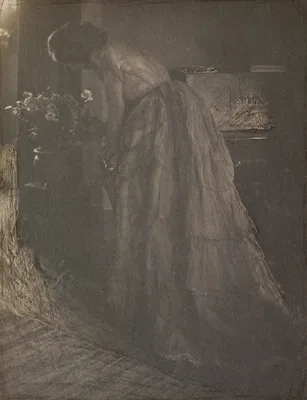 The Azalea Plant (Julia Hall McCune) — Clarence Hudson White