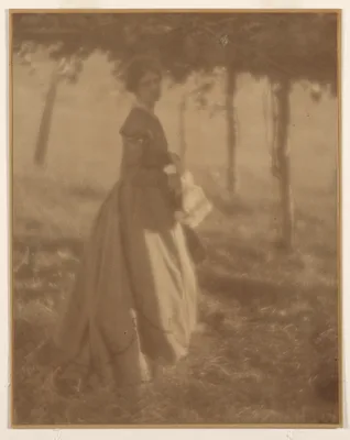 In the Arbor — Clarence Hudson White