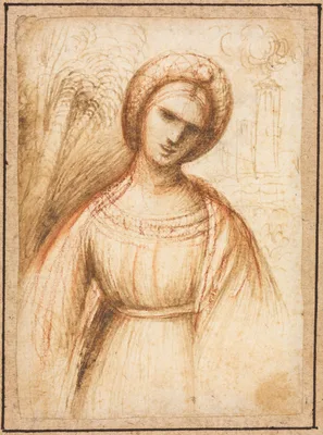 Lady in a Landscape (recto) — Dosso Dossi
