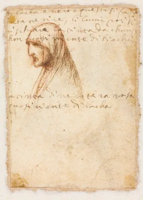 Bust-Length Profile of an Old Woman (verso) — Dosso Dossi