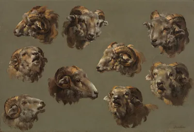 Studies of Ram Heads