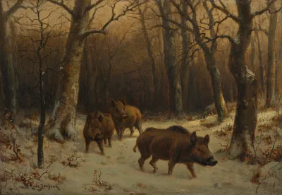 Wild Boars in the Snow — Rosa Bonheur