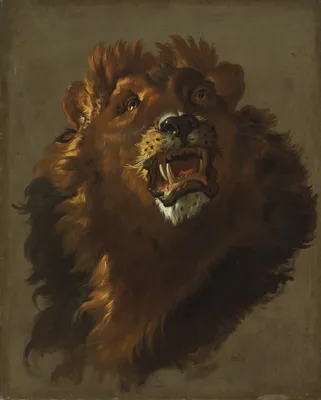 Lion — Giuseppe Baldrighi