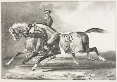 Two Dappled Horses Exercising — Théodore Géricault