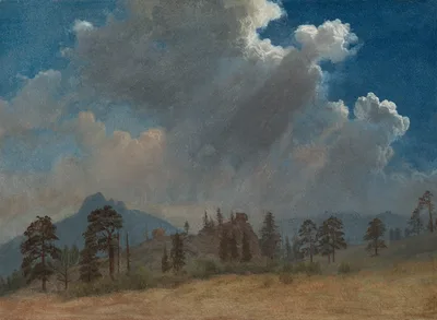 Fir Trees and Storm Clouds — Albert Bierstadt