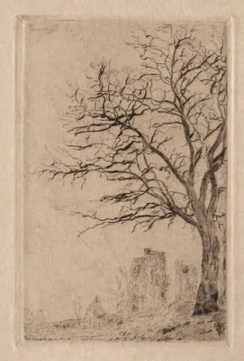 Acacia — James Ensor