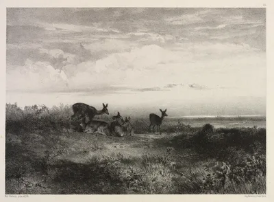Landscape with Deer — Karl Bodmer
