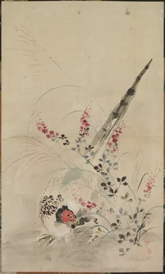 Pheasant and Grasses — Ogata Kōrin