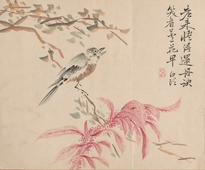 Strawberry Spinach and Nightingale — Tsubaki Chinzan