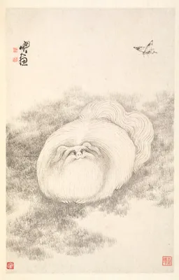 Cat and Butterfly — Min Zhen