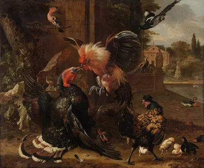 A Rooster and Turkey Fighting — Melchior d'Hondecoeter