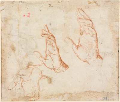 Study of Hands (verso) — Camillo Procaccini