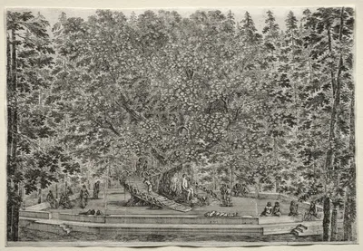 Views of the Villa of Pratolino:  The Inhabited Tree — Stefano della Bella