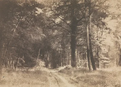 Pathway in the Forest of Fontainebleau — Gustave Le Gray