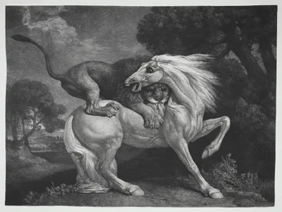 A Horse Attacked by a Lion — George Stubbs