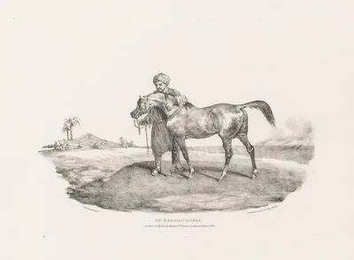 Various Subjects Drawn from Life and on Stone:  An Arabian Horse — Théodore Géricault