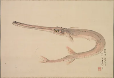 Needlefish (Yagara) — Nakajima Raishō