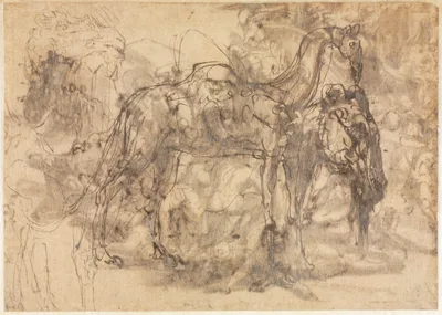 Sketches of Animals (verso) — Perino del Vaga