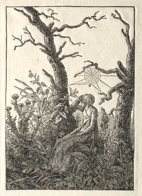 The Woman with the Spider Web between Bare Trees — Caspar David Friedrich