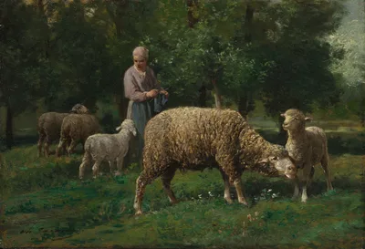 Shepherdess with Sheep — Charles Jacque