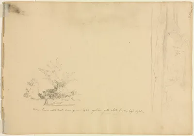 Landscape and Tree Studies (verso) — David Johnson