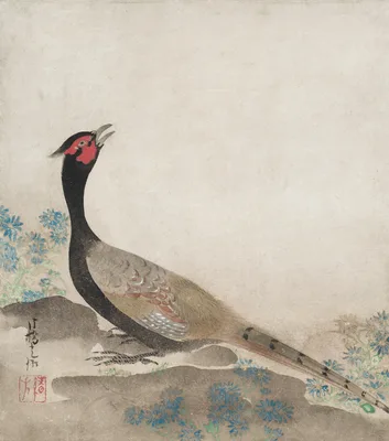 Pheasant — Ogata Kōrin