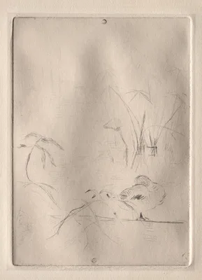 The Duck — Berthe Morisot