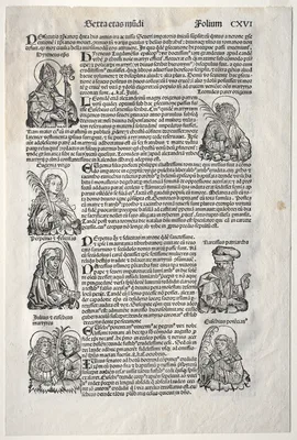 Nuremberg Chronicle — Michael Wolgemut