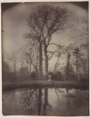 The Park at Sceaux [April 1925, 7a.m.] — Eugène Atget
