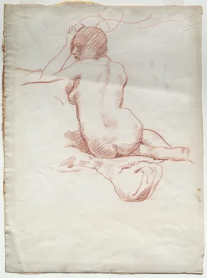 Seated Female Nude from the Rear
