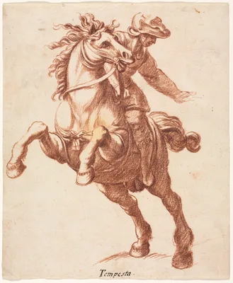Rearing Horse and Rider — Antonio Tempesta