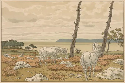 Aspects of Nature: The Bay — Henri Rivière