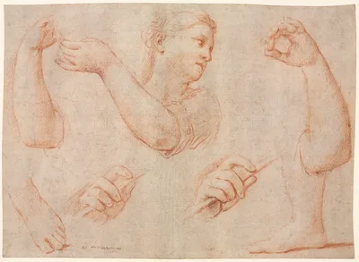 Study of a Young Woman Playing a Tambourine, and Studies of an Arm, Hands, and Feet (Studies for  "Miriam Leading the Chorus of Women Who Give Thanks for the Routing of Pharoah" — Marcantonio Franceschini