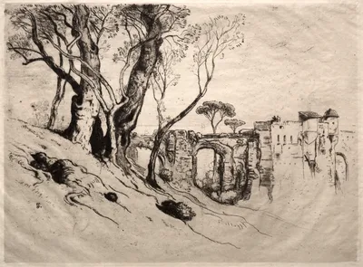 The Olive Trees of the Riviera — Samuel Colman