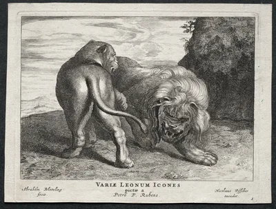 Various Lions — Abraham Blooteling
