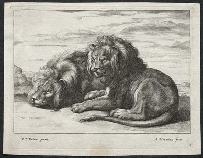 Various Lions — Abraham Blooteling