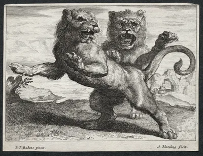 Various Lions — Abraham Blooteling