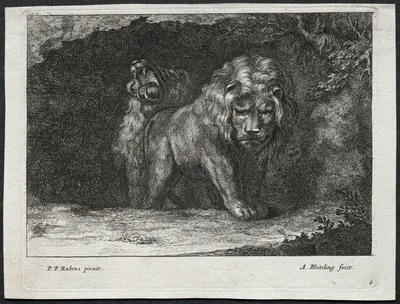 Various Lions — Abraham Blooteling