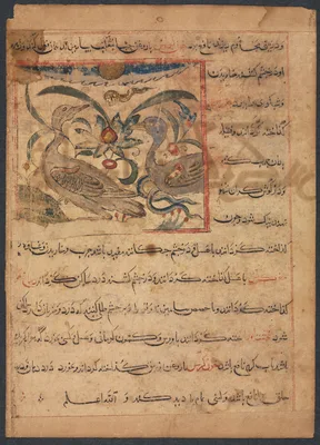 "Benefits of the Parts of Vultures" (From the Manafi' al-Haywan of Abu Sai'd Ubayd-Allay Ibn Bakhtishu) (verso)