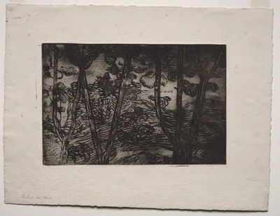 Trees at Night — Armand Seguin