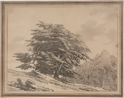 Delineations of the General Character Ramifications and Foliage of Forest Trees: Cedar — John Robert Cozens