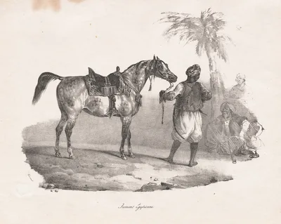 Egyptian Mare — Théodore Géricault