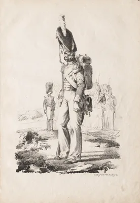 Military Costumes: Infantry Sargent — Nicolas Toussaint Charlet