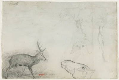 Studies of Animals (verso) — Antoine-Louis Barye