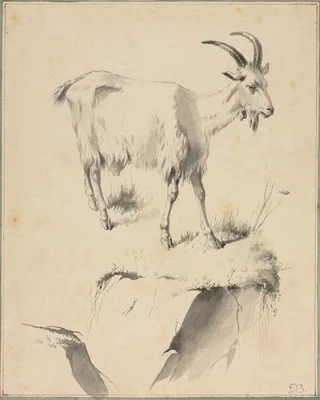 Study of a Goat — Jean-Jacques de Boissieu