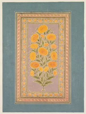 Flowering Marigold (verso) — Hunhar II