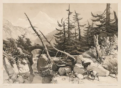 Pine Trees and Bridge — James Duffield Harding